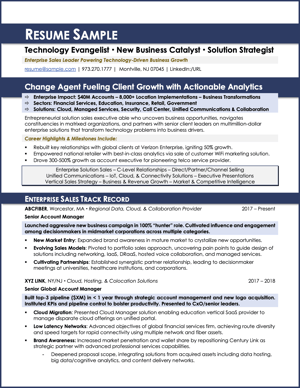 Technology Sales Resume Sample