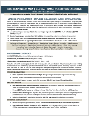 VP of HR Resume Sample